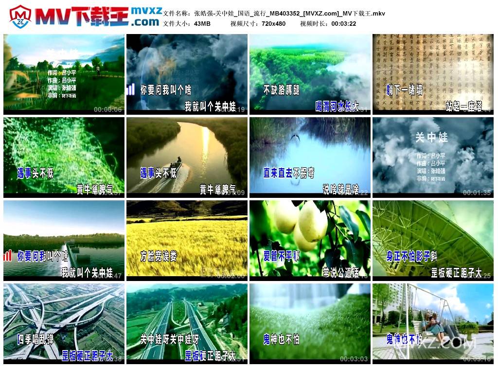 张皓强-关中娃_国语_流行_MB403352